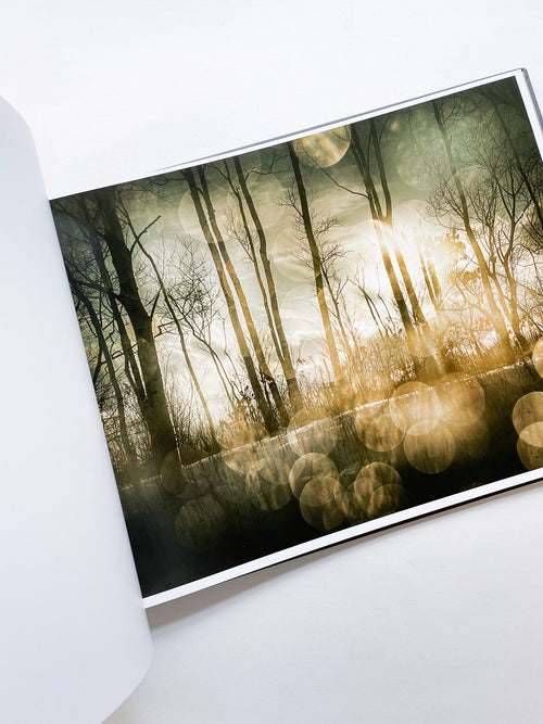 THE END SENDS ADVANCE WARNING / Todd Hido