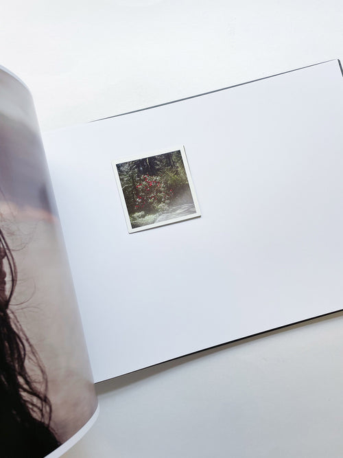 THE END SENDS ADVANCE WARNING / Todd Hido