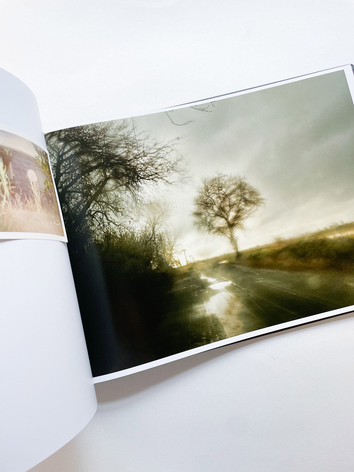 THE END SENDS ADVANCE WARNING / Todd Hido