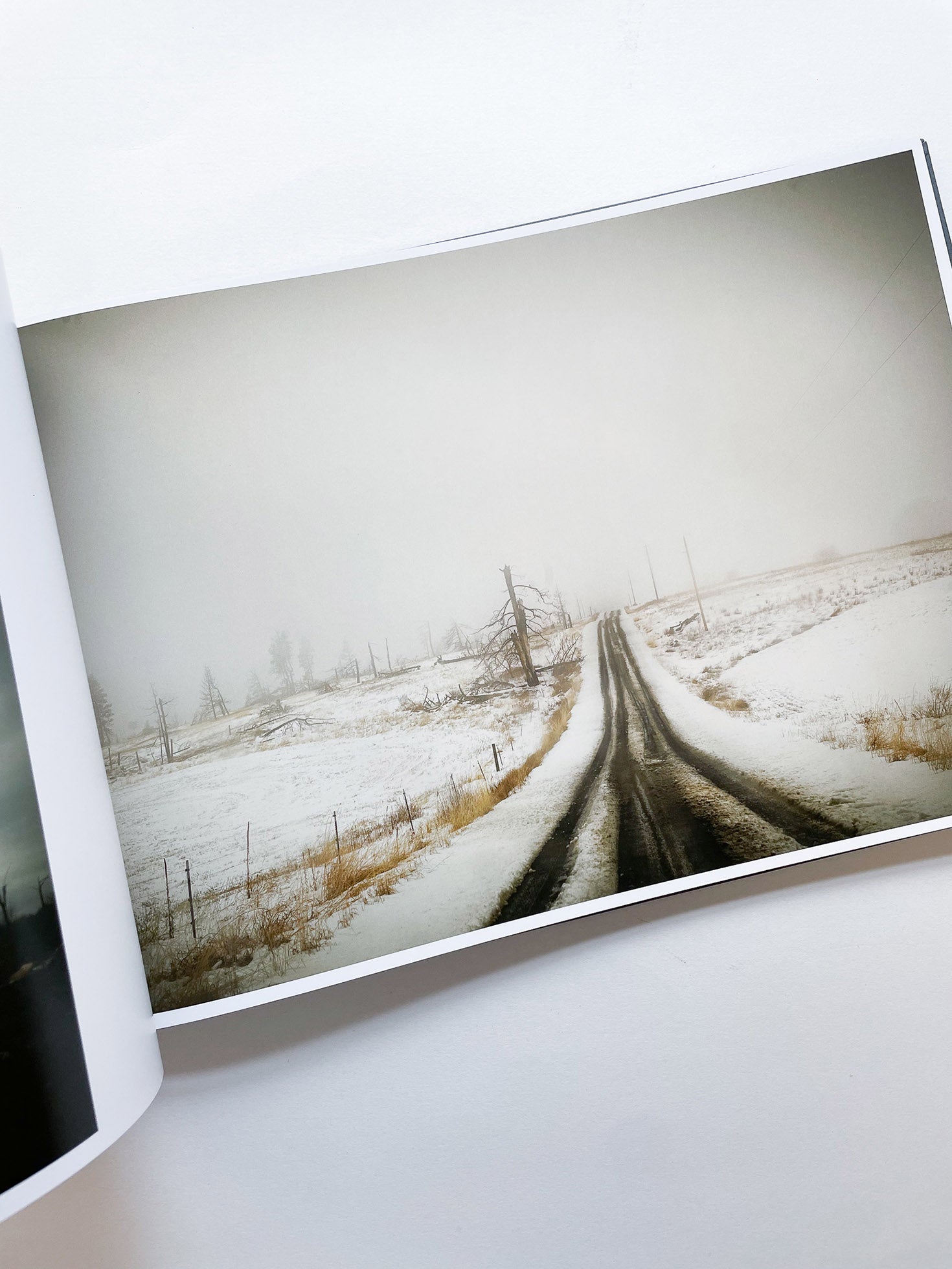 THE END SENDS ADVANCE WARNING / Todd Hido