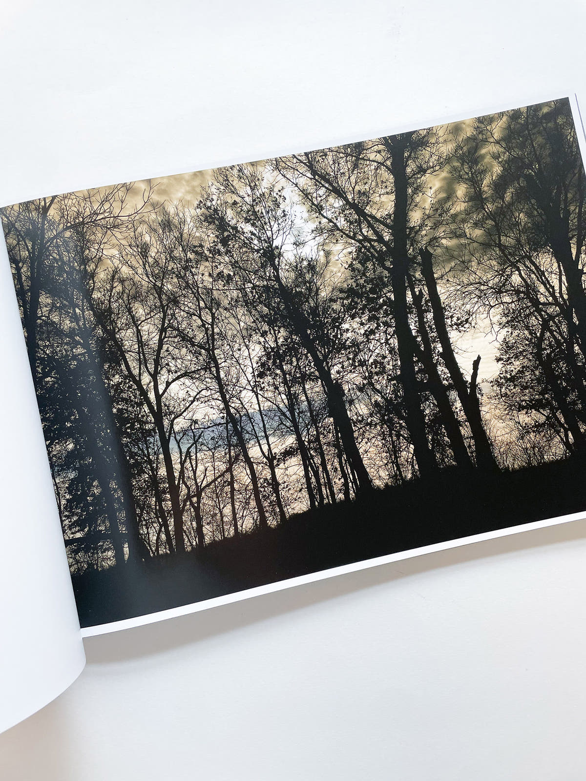 THE END SENDS ADVANCE WARNING / Todd Hido