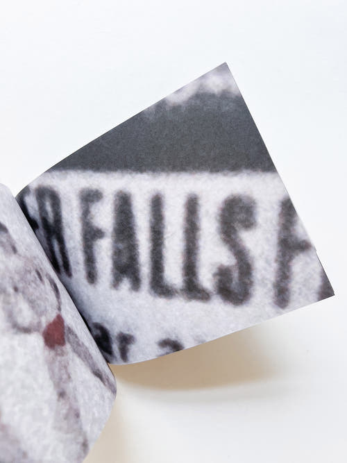 Murmur, Orbus / Ellen Gallagher