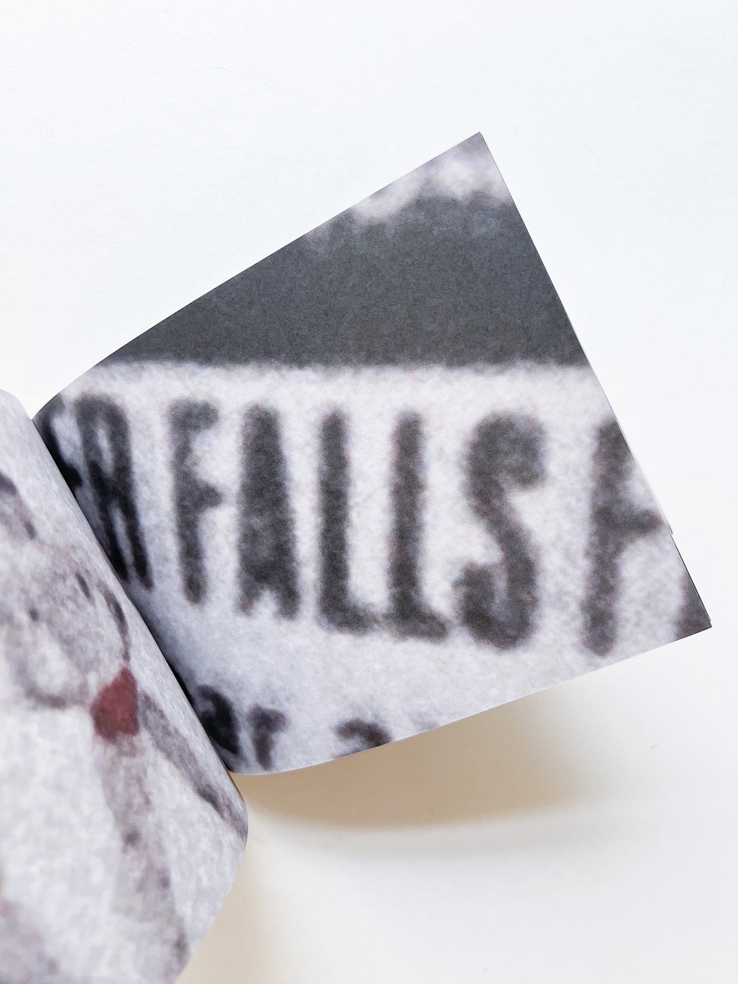 Murmur, Orbus / Ellen Gallagher