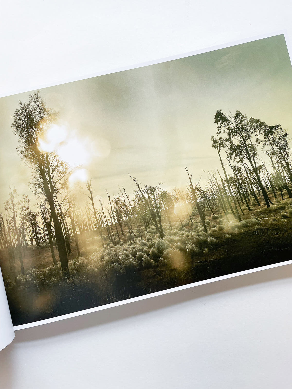 THE END SENDS ADVANCE WARNING / Todd Hido