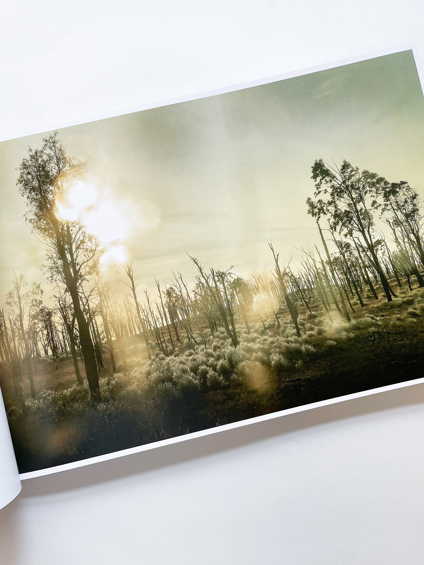 THE END SENDS ADVANCE WARNING / Todd Hido