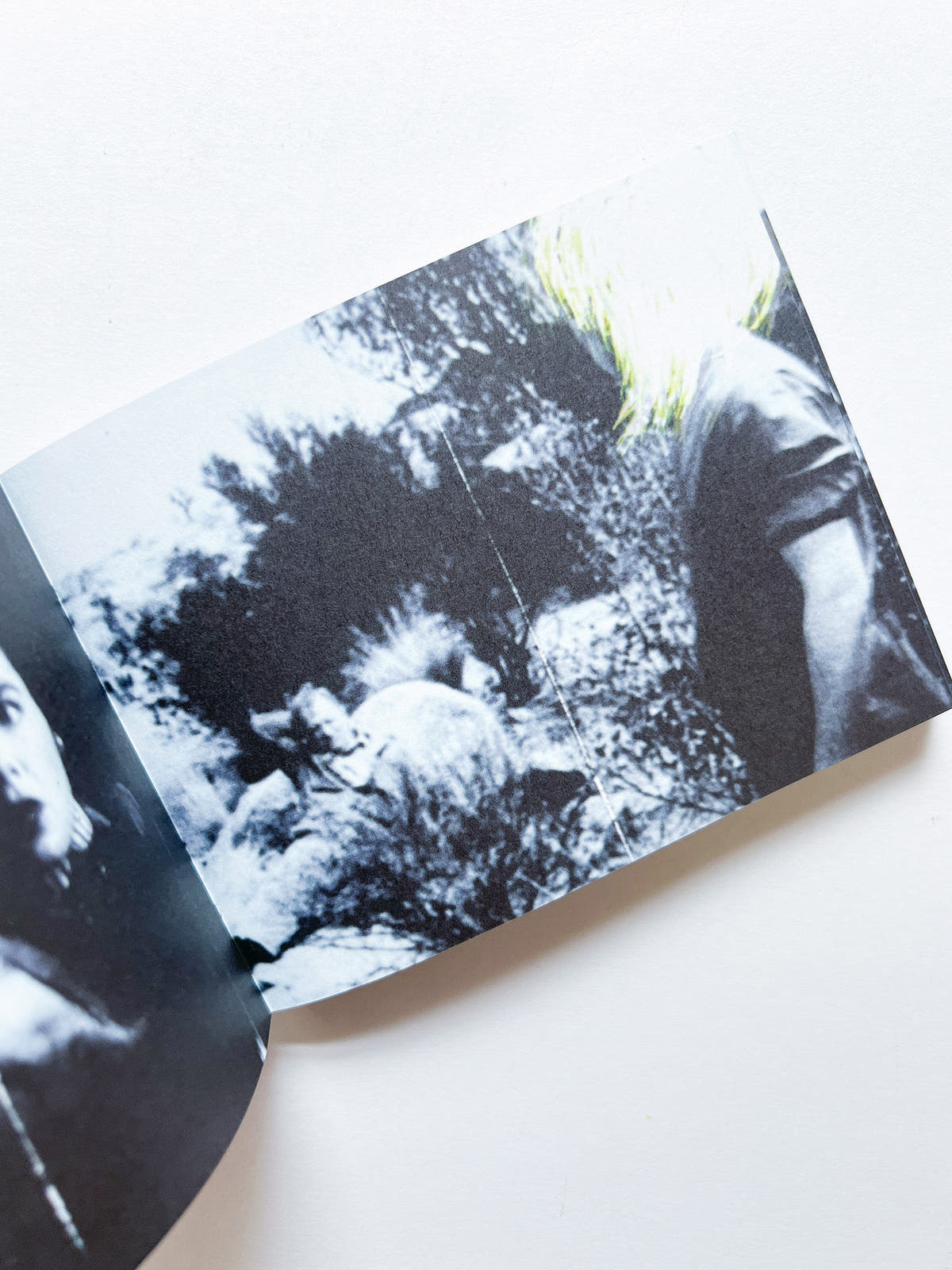 Murmur, Orbus / Ellen Gallagher