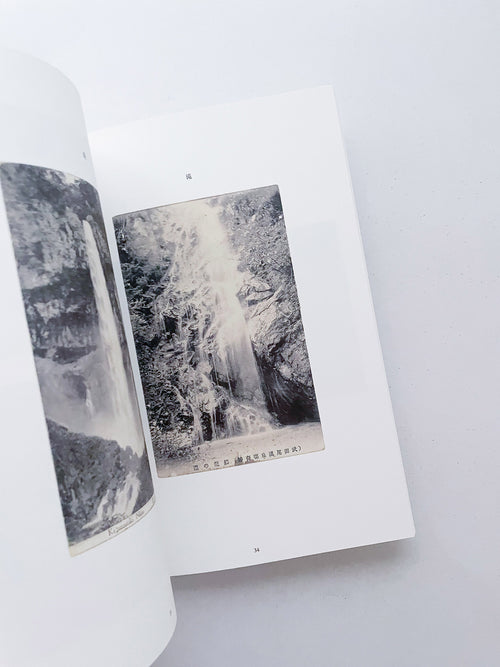 FONTAINEBLEAU IS IN FRANCE / Tacita Dean