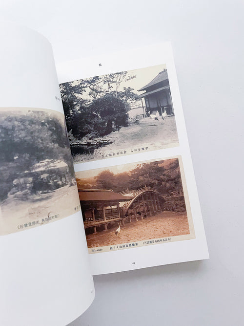 FONTAINEBLEAU IS IN FRANCE / Tacita Dean