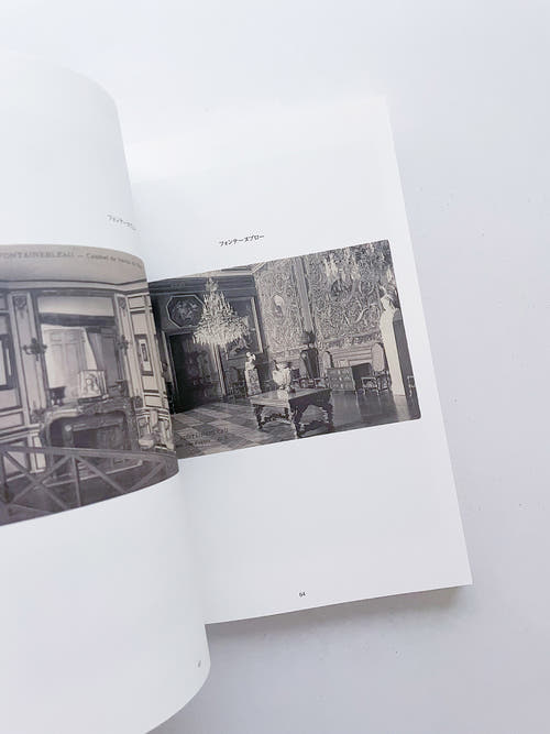 FONTAINEBLEAU IS IN FRANCE / Tacita Dean