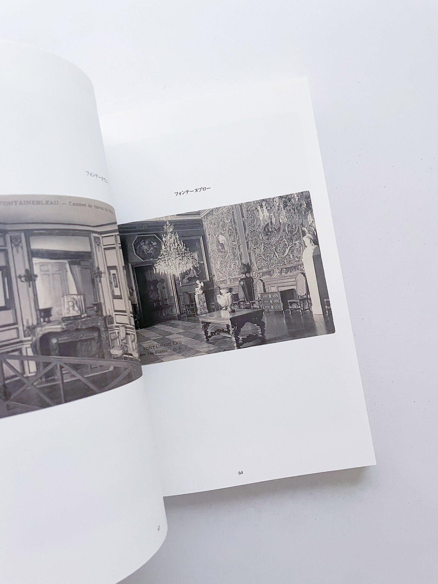 FONTAINEBLEAU IS IN FRANCE / Tacita Dean