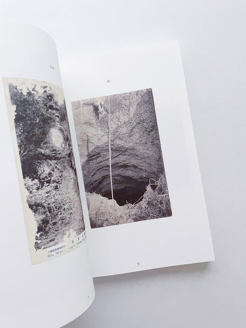 FONTAINEBLEAU IS IN FRANCE / Tacita Dean