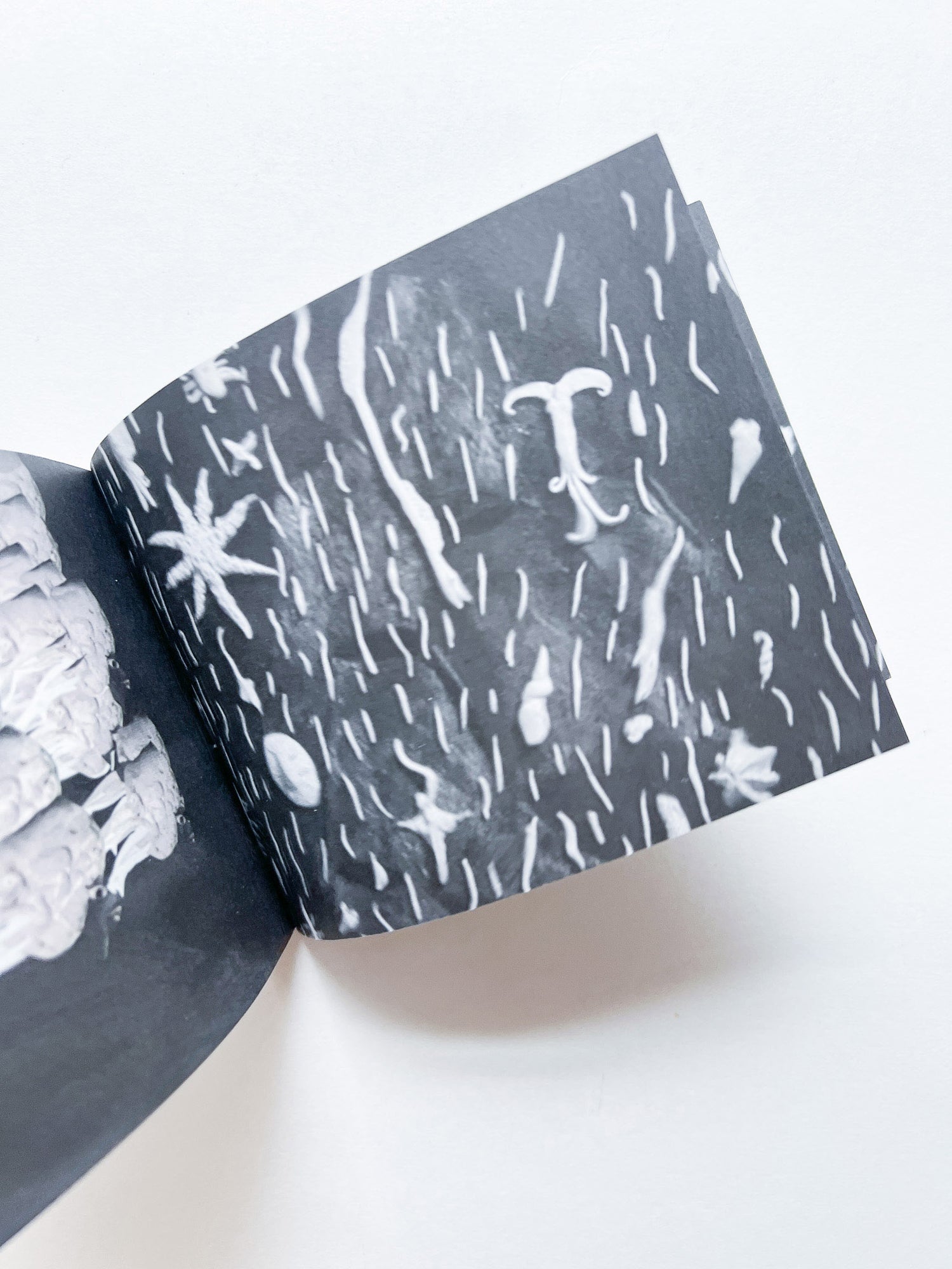 Murmur, Orbus / Ellen Gallagher