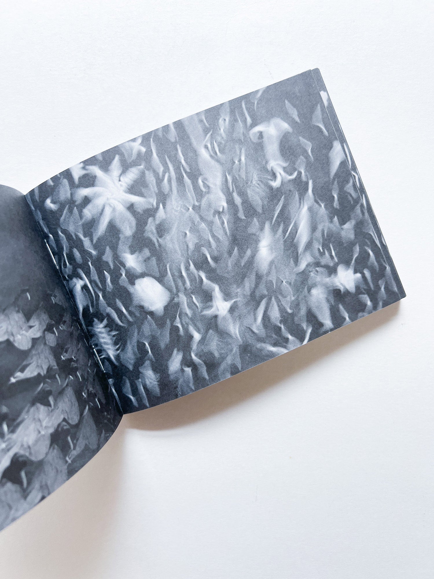 Murmur, Orbus / Ellen Gallagher