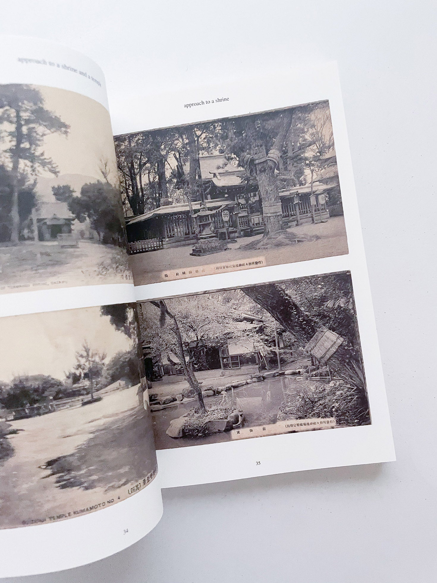 FONTAINEBLEAU IS IN FRANCE / Tacita Dean