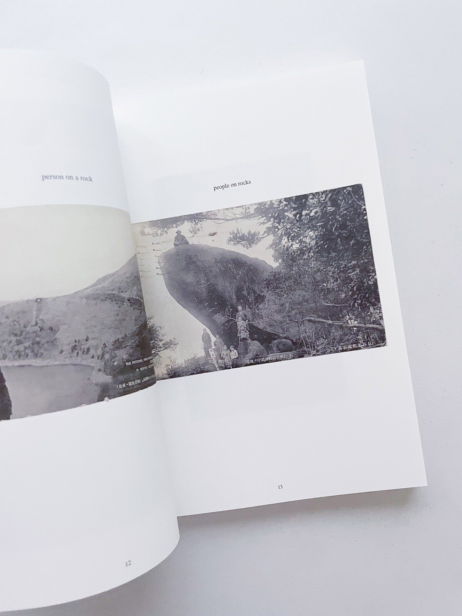 FONTAINEBLEAU IS IN FRANCE / Tacita Dean