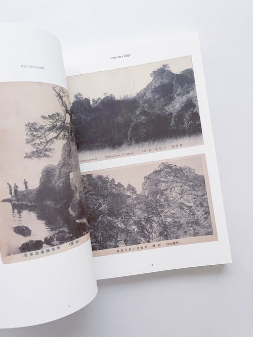 FONTAINEBLEAU IS IN FRANCE / Tacita Dean