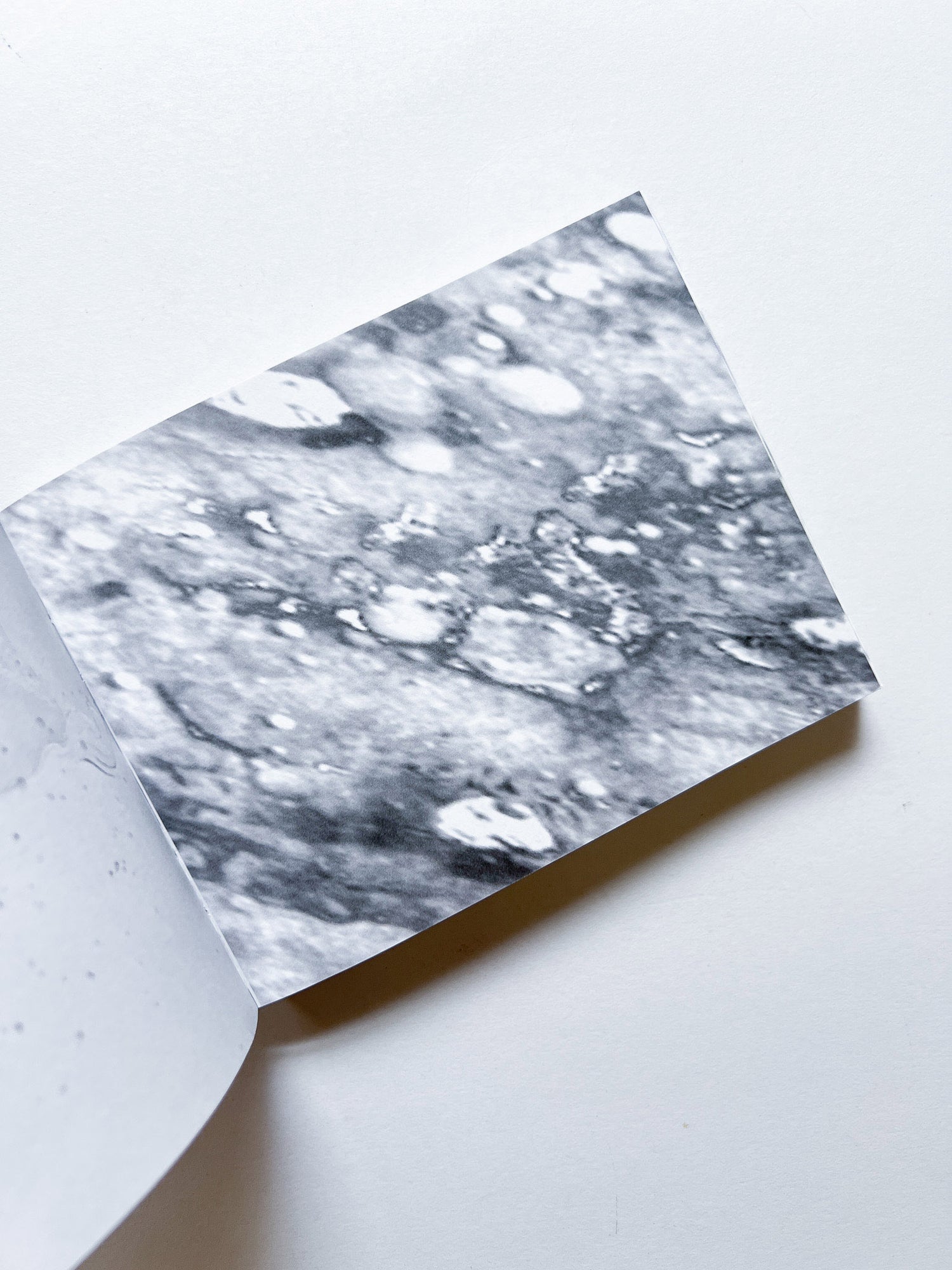 Murmur, Orbus / Ellen Gallagher