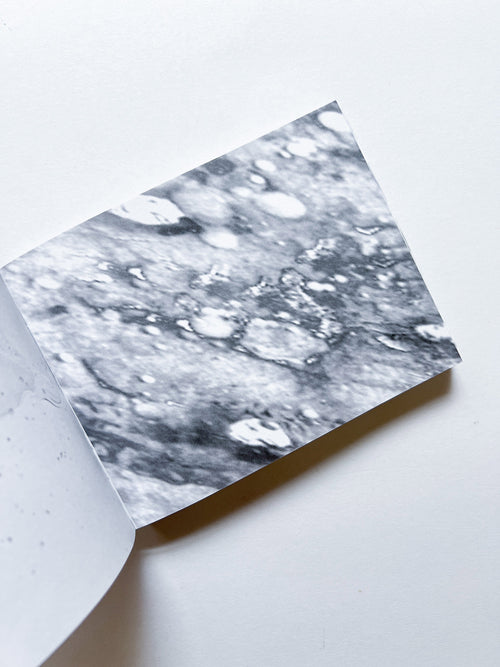 Murmur, Orbus / Ellen Gallagher