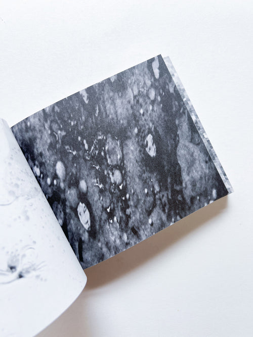 Murmur, Orbus / Ellen Gallagher