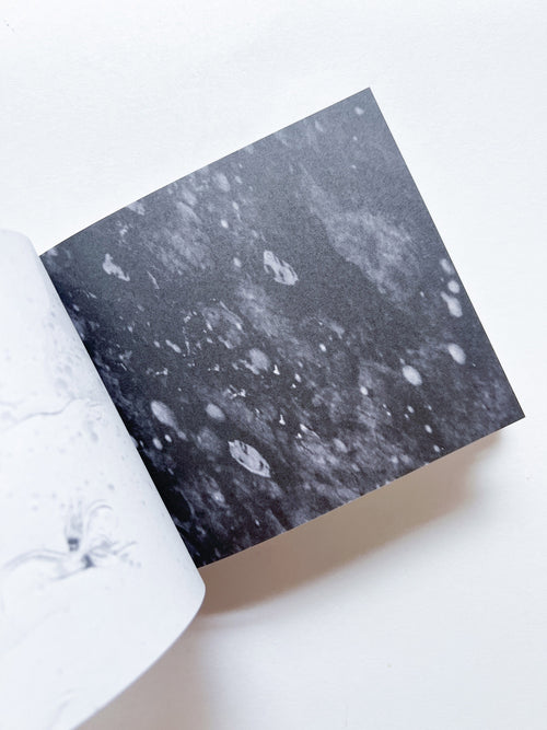 Murmur, Orbus / Ellen Gallagher