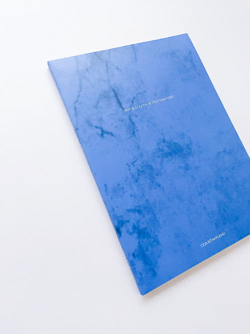 WHY IS COLOUR BETTER THAN GREY / Anri Sala