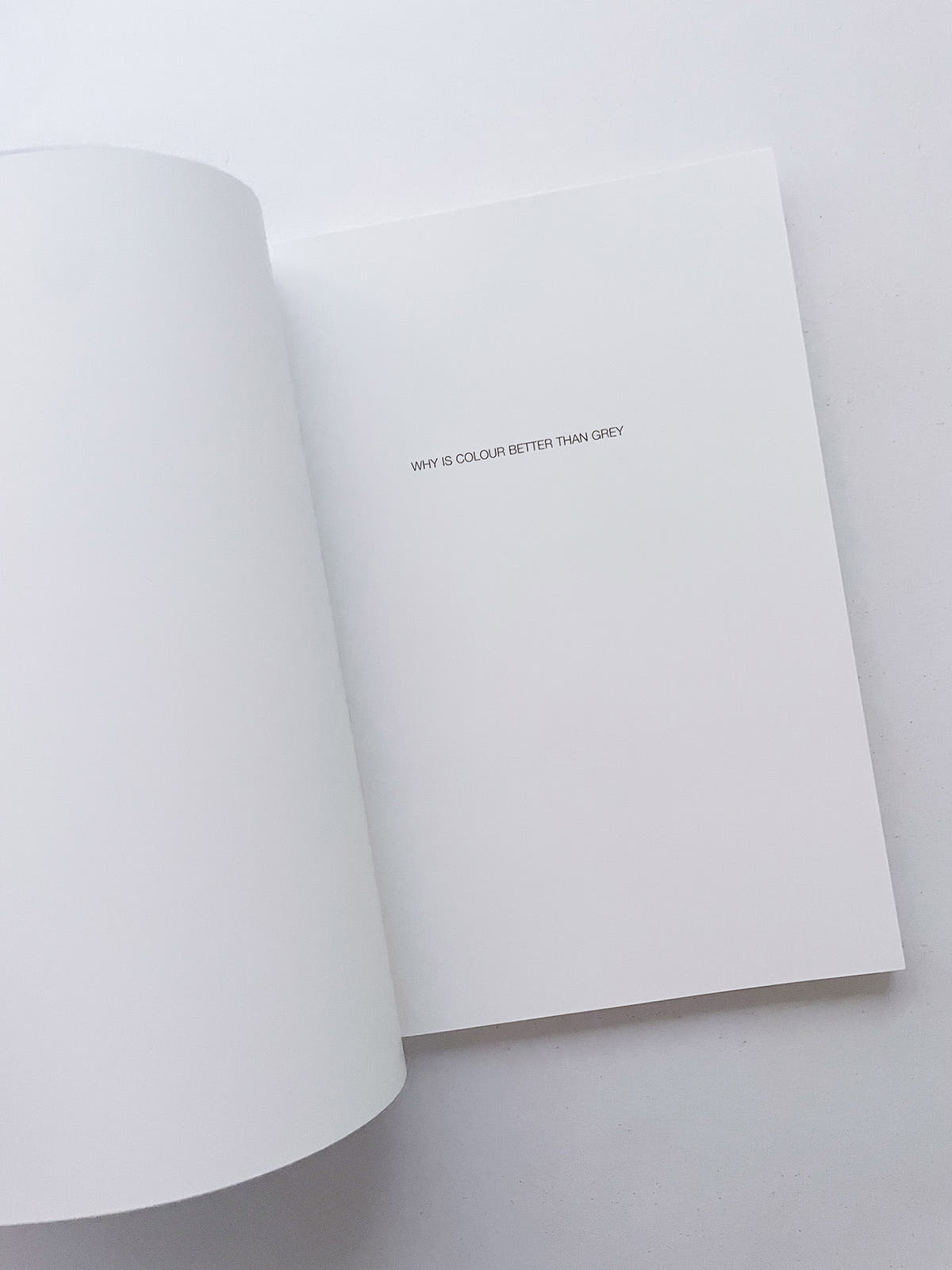WHY IS COLOUR BETTER THAN GREY / Anri Sala