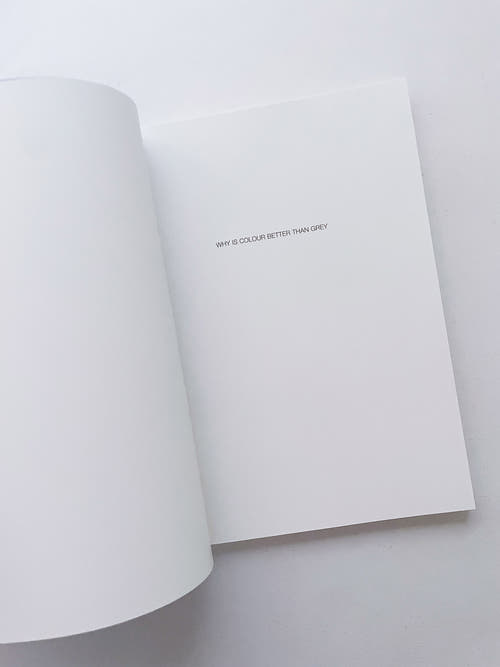 WHY IS COLOUR BETTER THAN GREY / Anri Sala