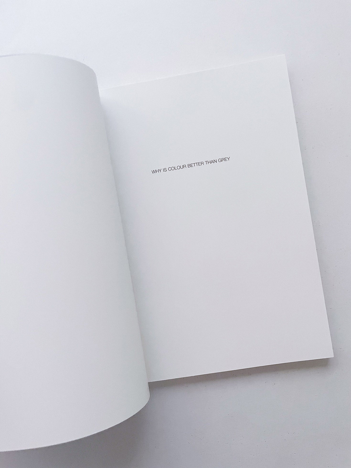 WHY IS COLOUR BETTER THAN GREY / Anri Sala