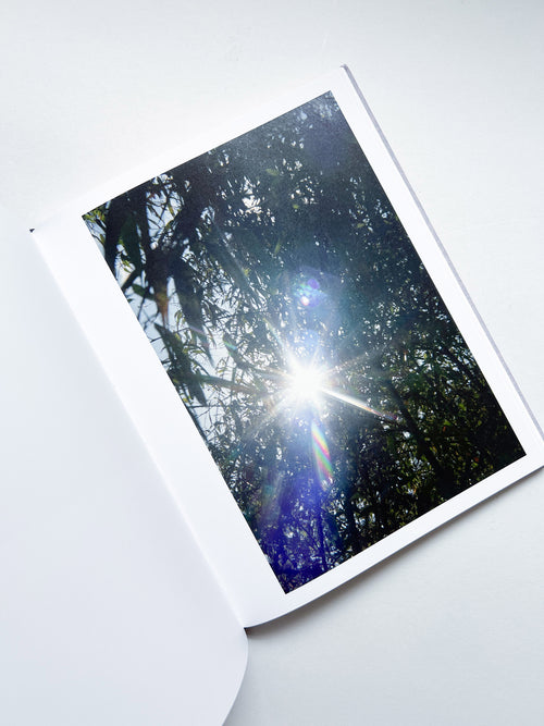 DES OISEAUX - Rinko Kawauchi