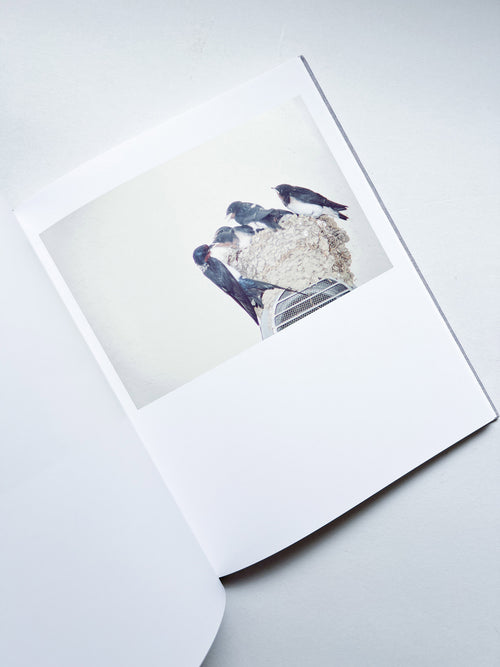 DES OISEAUX - Rinko Kawauchi