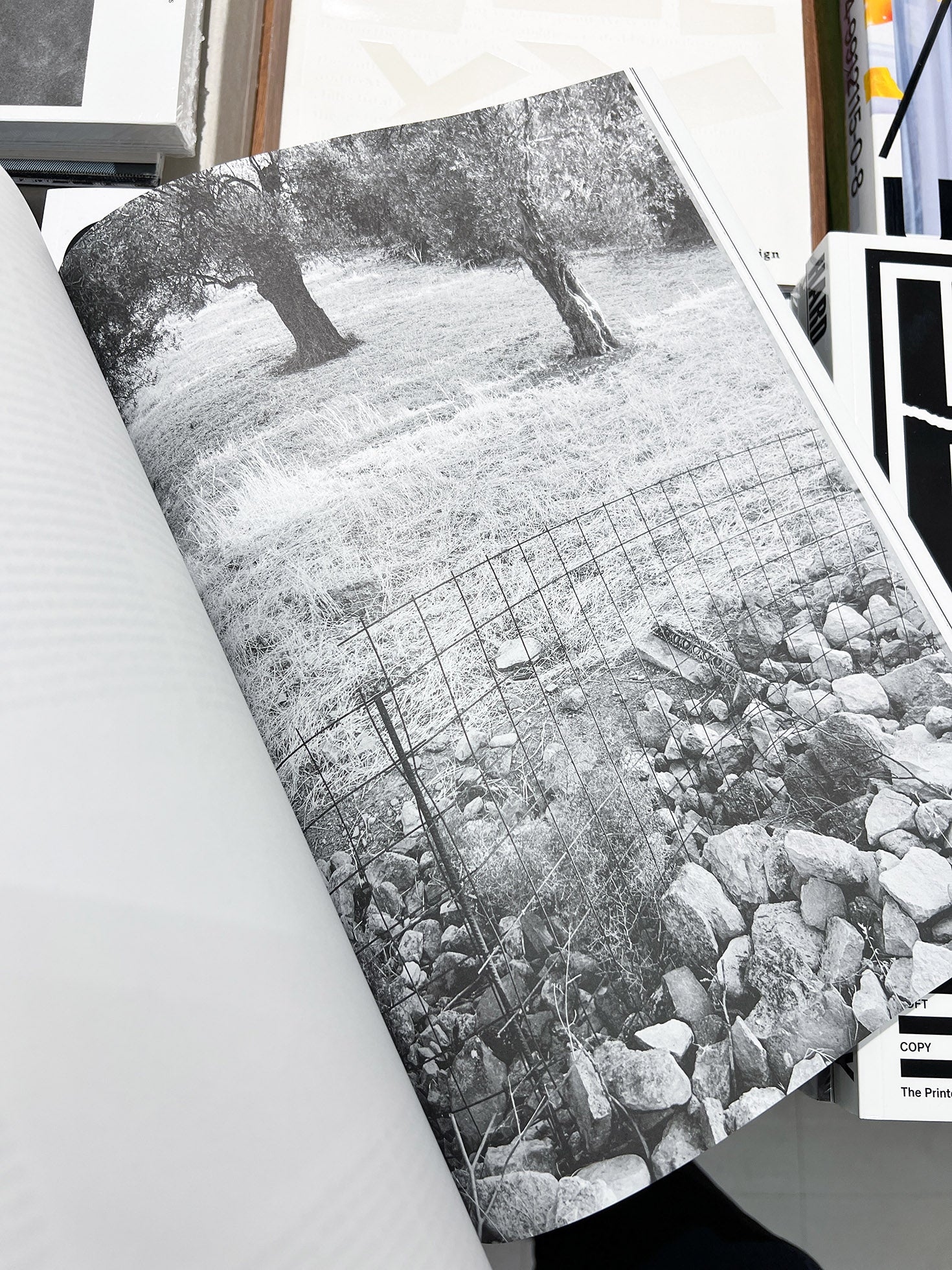 PRESS PAINTINGS  / Sebastian Riemer