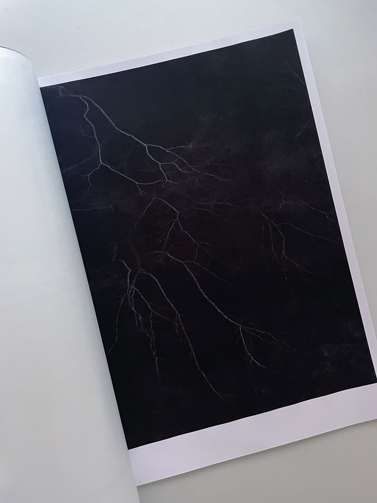 STILLNESS (Fourth Edition) / Naoyuki Hata [SIGNED]