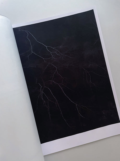 STILLNESS (Fourth Edition) / Naoyuki Hata [SIGNED]