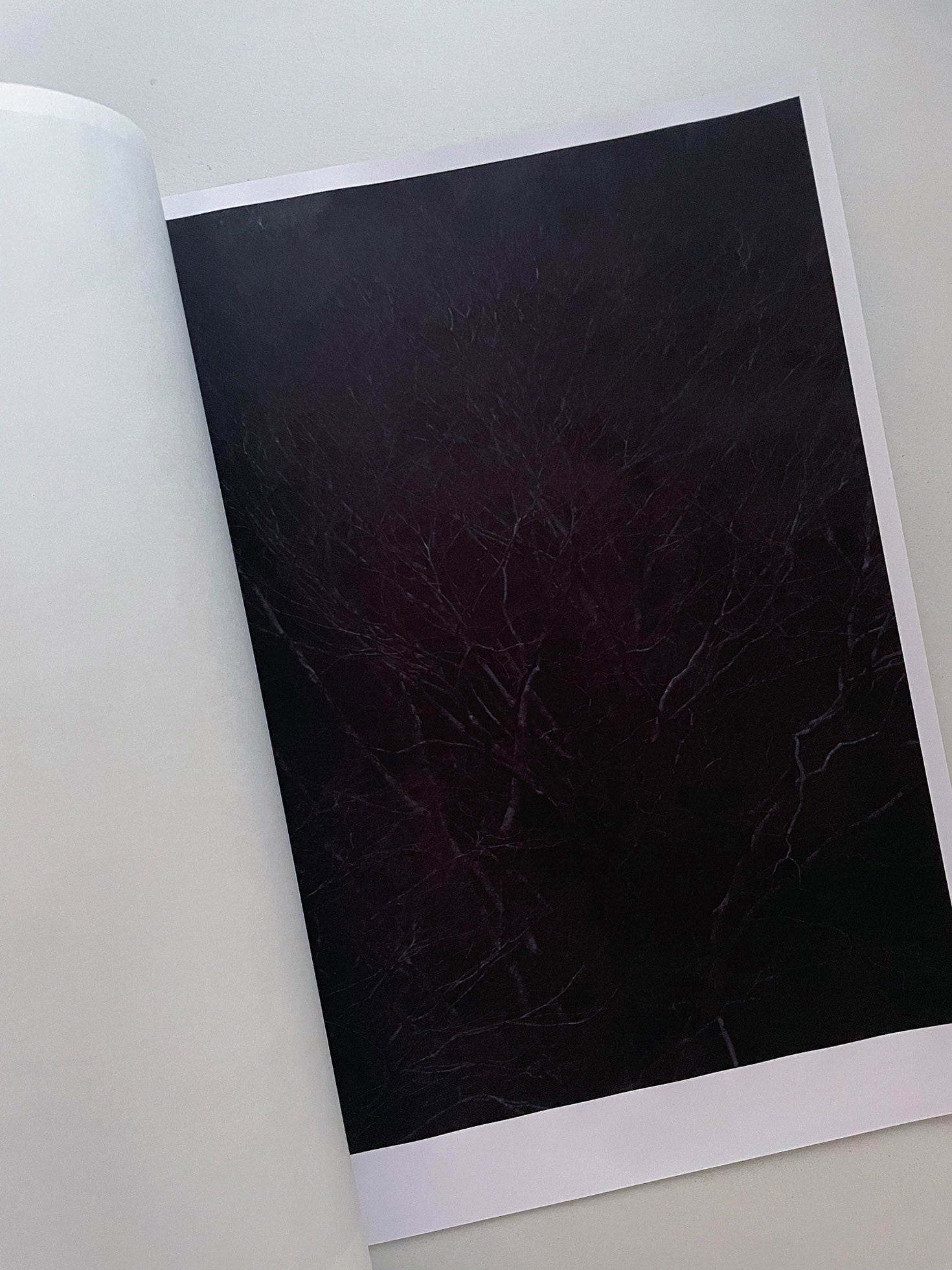 STILLNESS (Fourth Edition) / Naoyuki Hata [SIGNED]