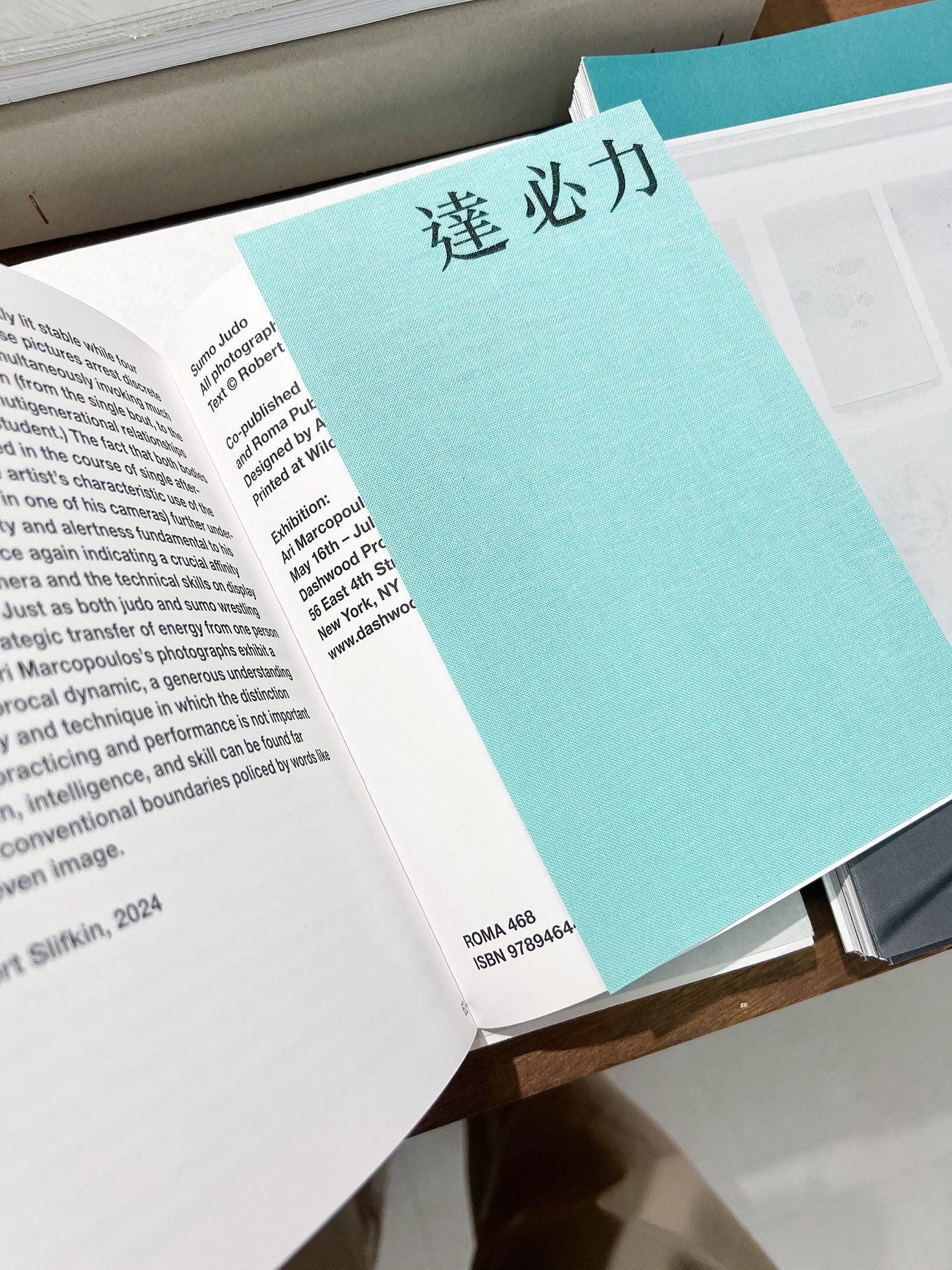 Sumo Judo / Ari Marcopoulos