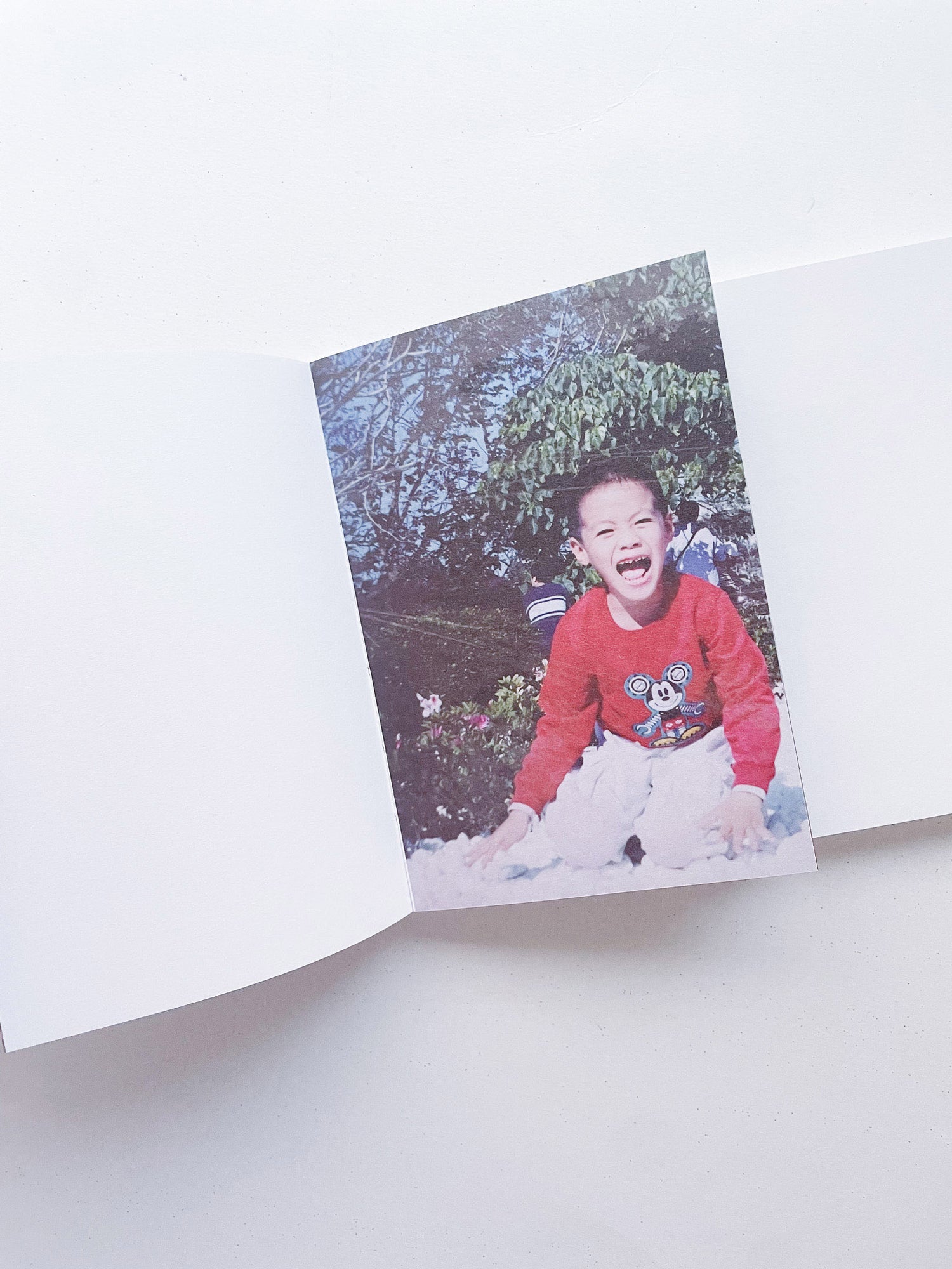 本是同根生 Born from the Same Root / 蔡定邦 Tsai Ting Bang [SIGNED]