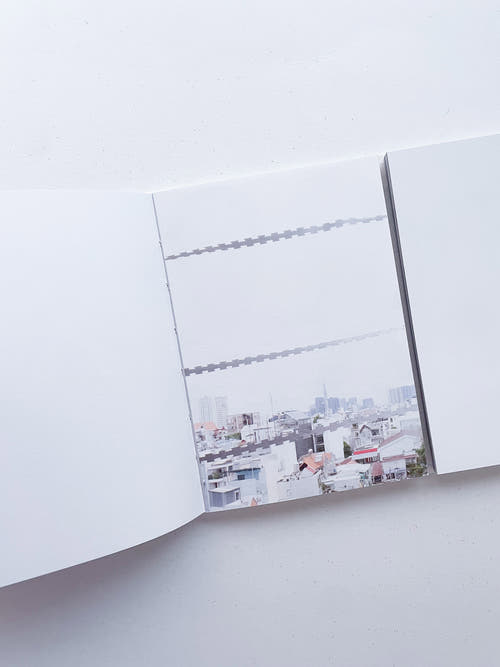本是同根生 Born from the Same Root / 蔡定邦 Tsai Ting Bang [SIGNED]