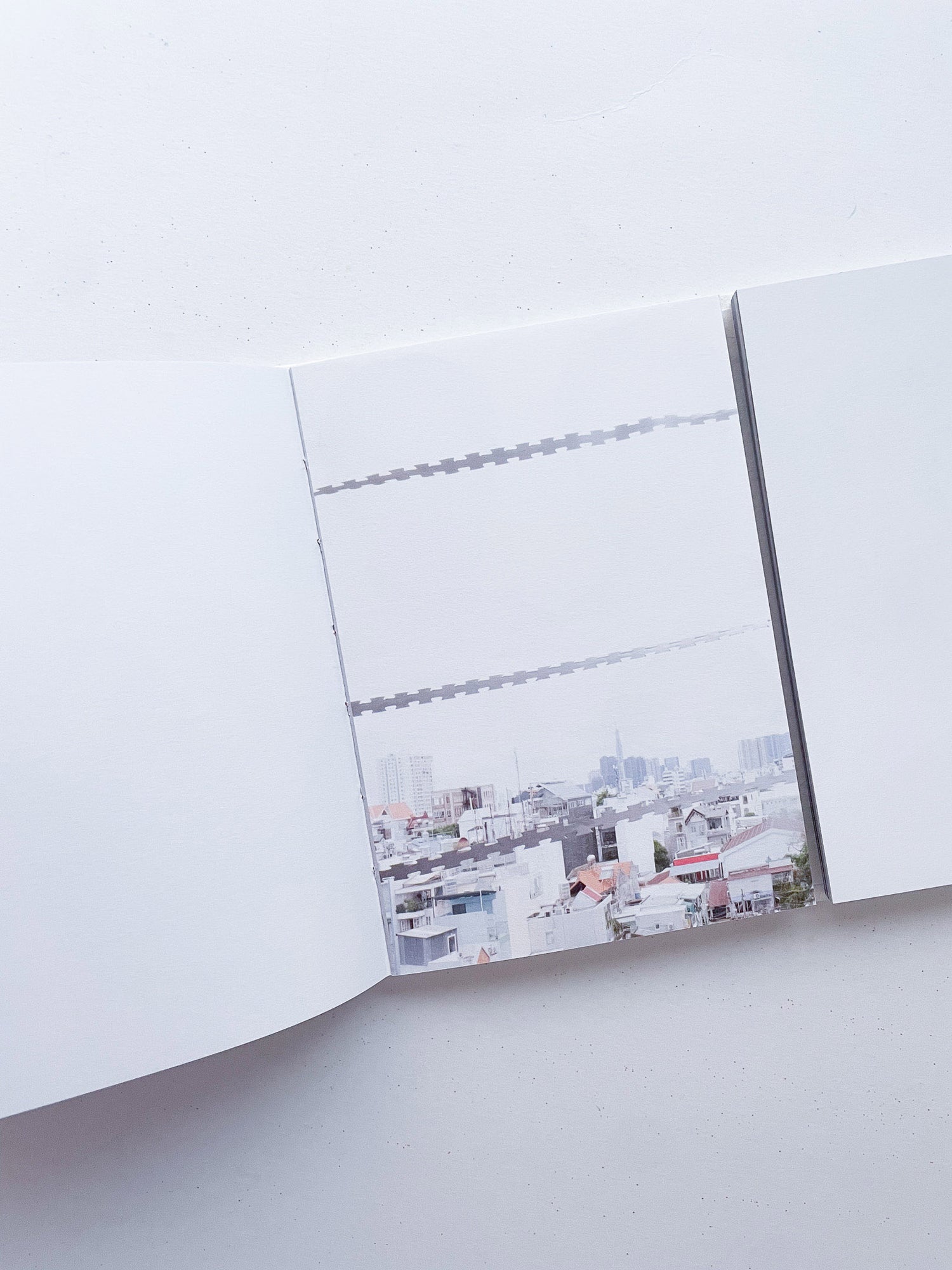 本是同根生 Born from the Same Root / 蔡定邦 Tsai Ting Bang [SIGNED]