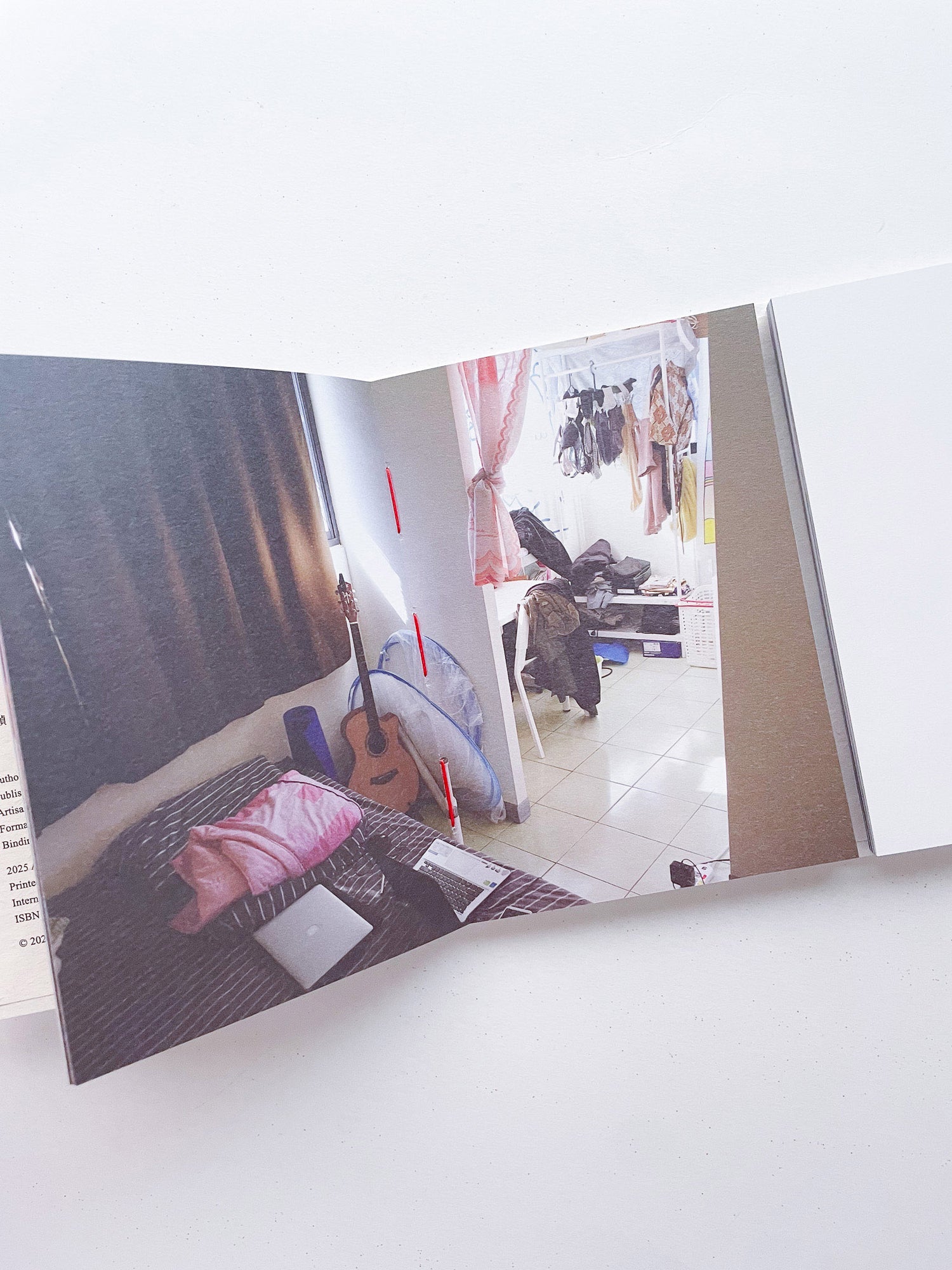 本是同根生 Born from the Same Root / 蔡定邦 Tsai Ting Bang [SIGNED]