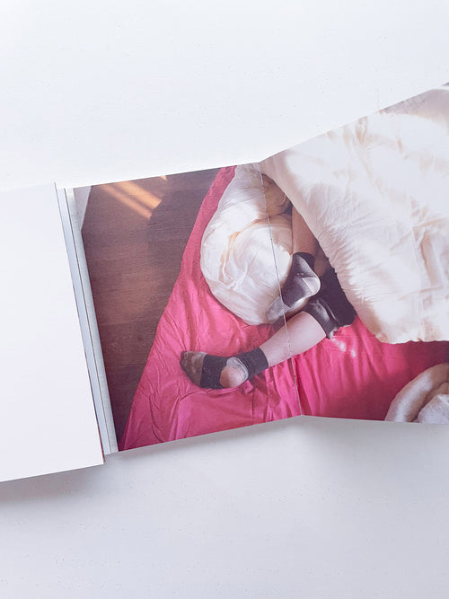 本是同根生 Born from the Same Root / 蔡定邦 Tsai Ting Bang [SIGNED]