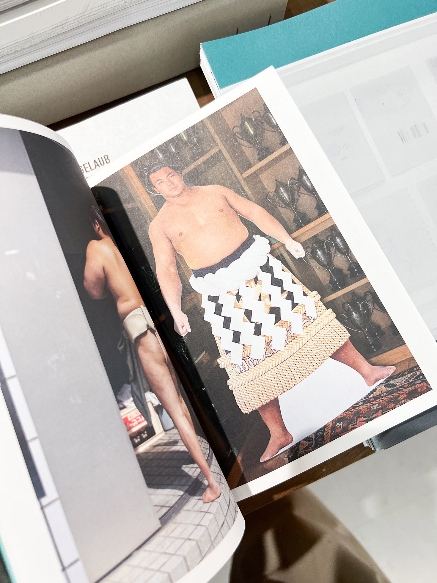 Sumo Judo / Ari Marcopoulos