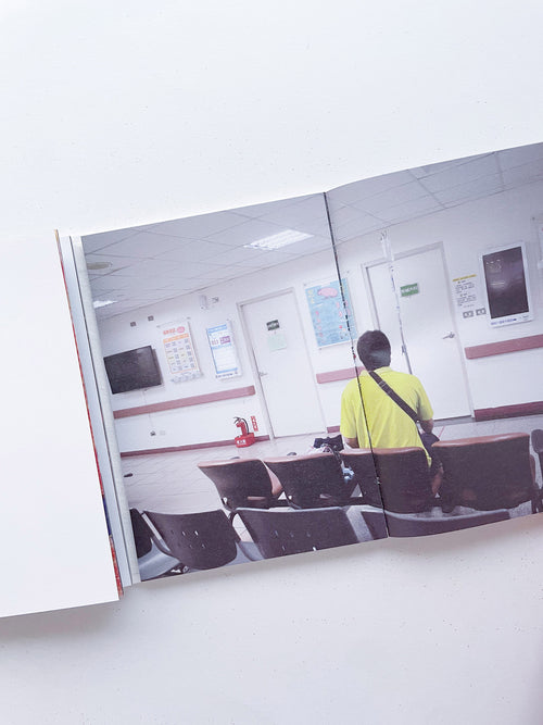 本是同根生 Born from the Same Root / 蔡定邦 Tsai Ting Bang [SIGNED]