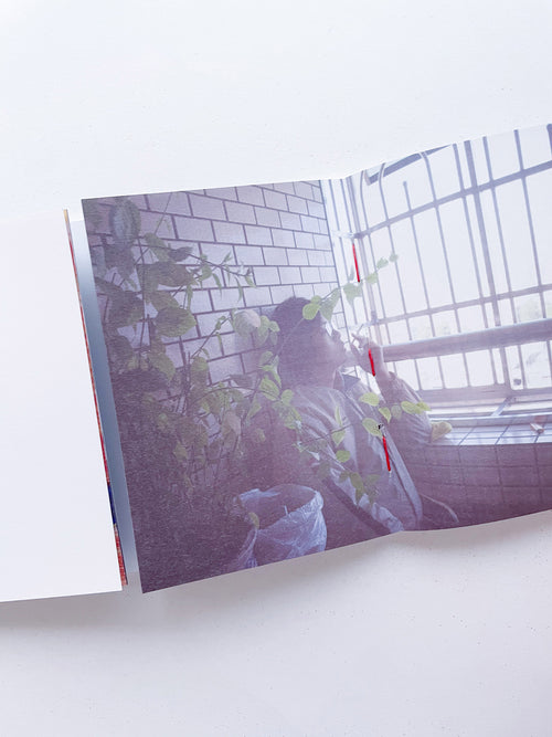 本是同根生 Born from the Same Root / 蔡定邦 Tsai Ting Bang [SIGNED]