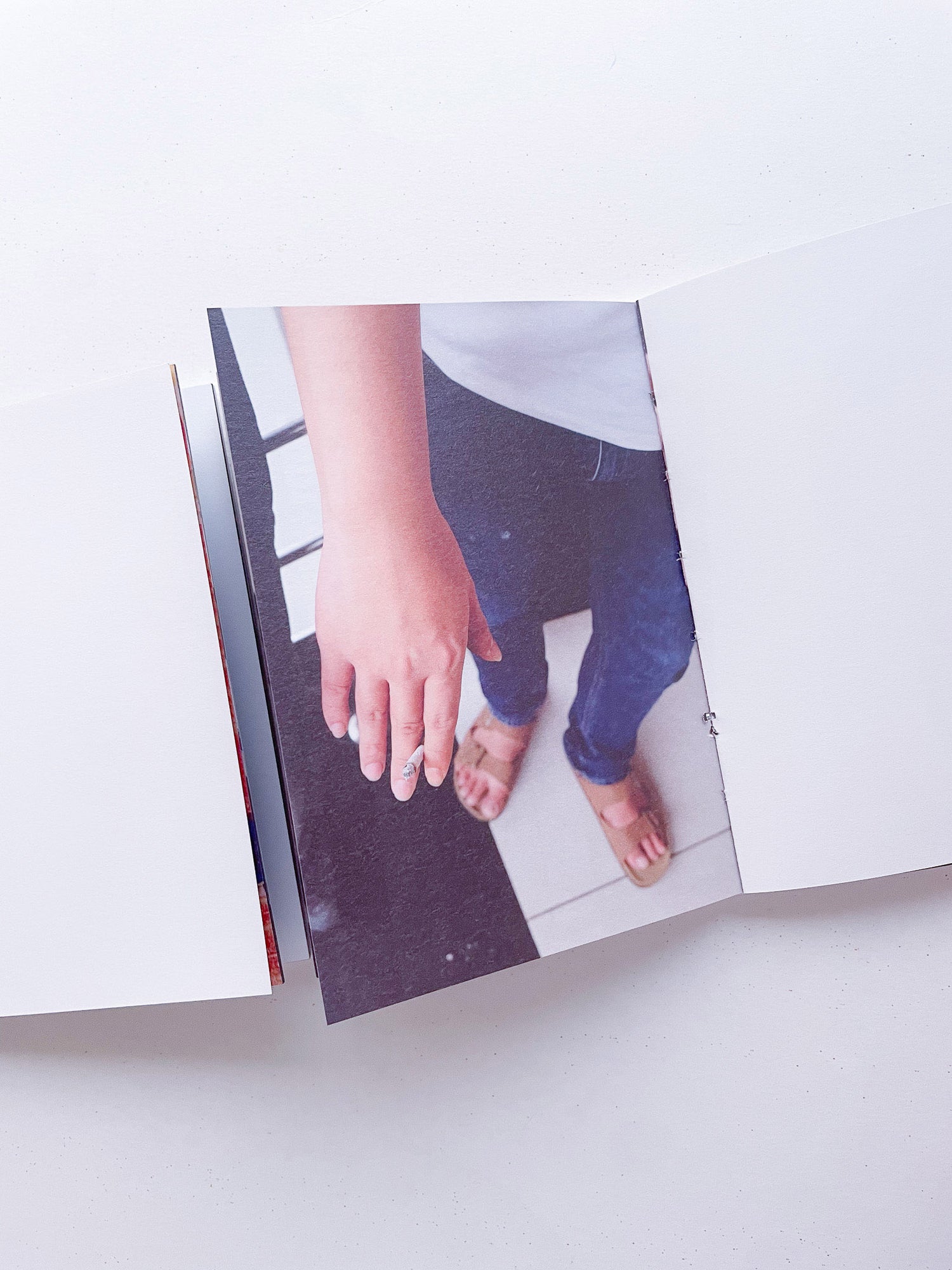 本是同根生 Born from the Same Root / 蔡定邦 Tsai Ting Bang [SIGNED]