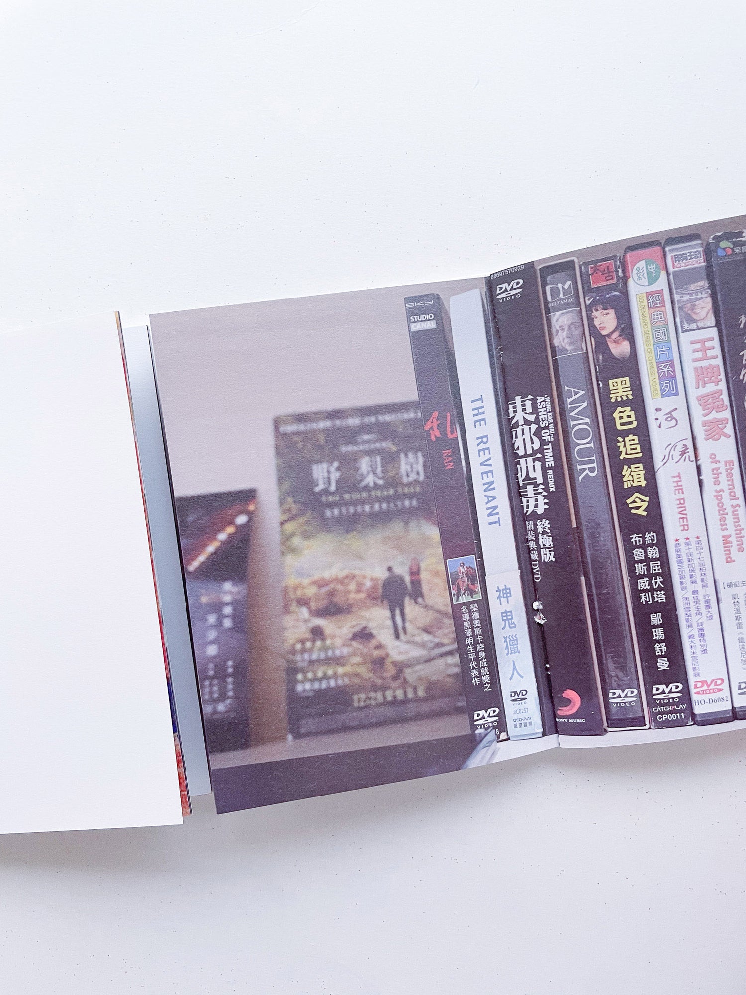 本是同根生 Born from the Same Root / 蔡定邦 Tsai Ting Bang [SIGNED]