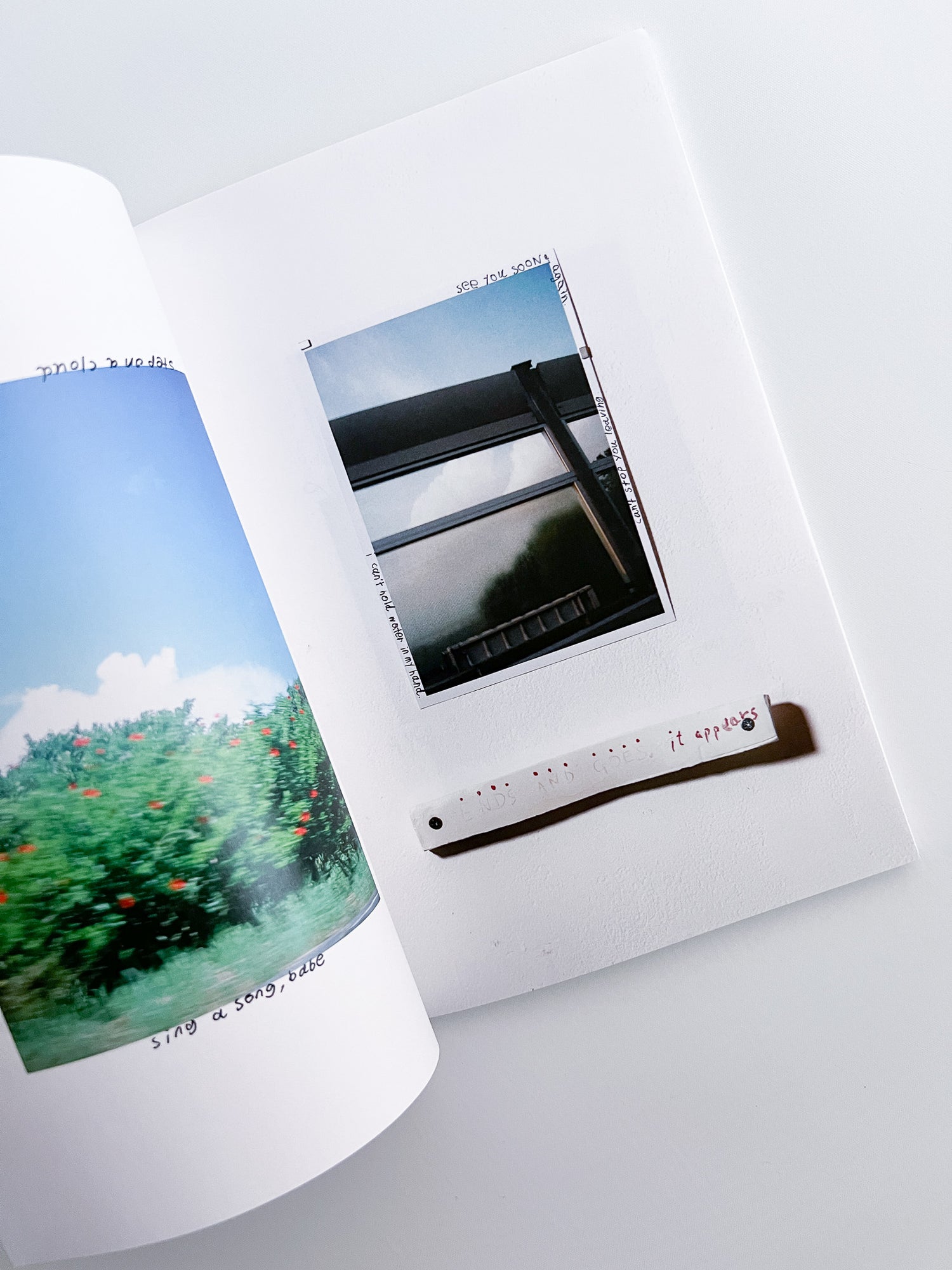 good bye, good pie, good night. / tsukasa kudo