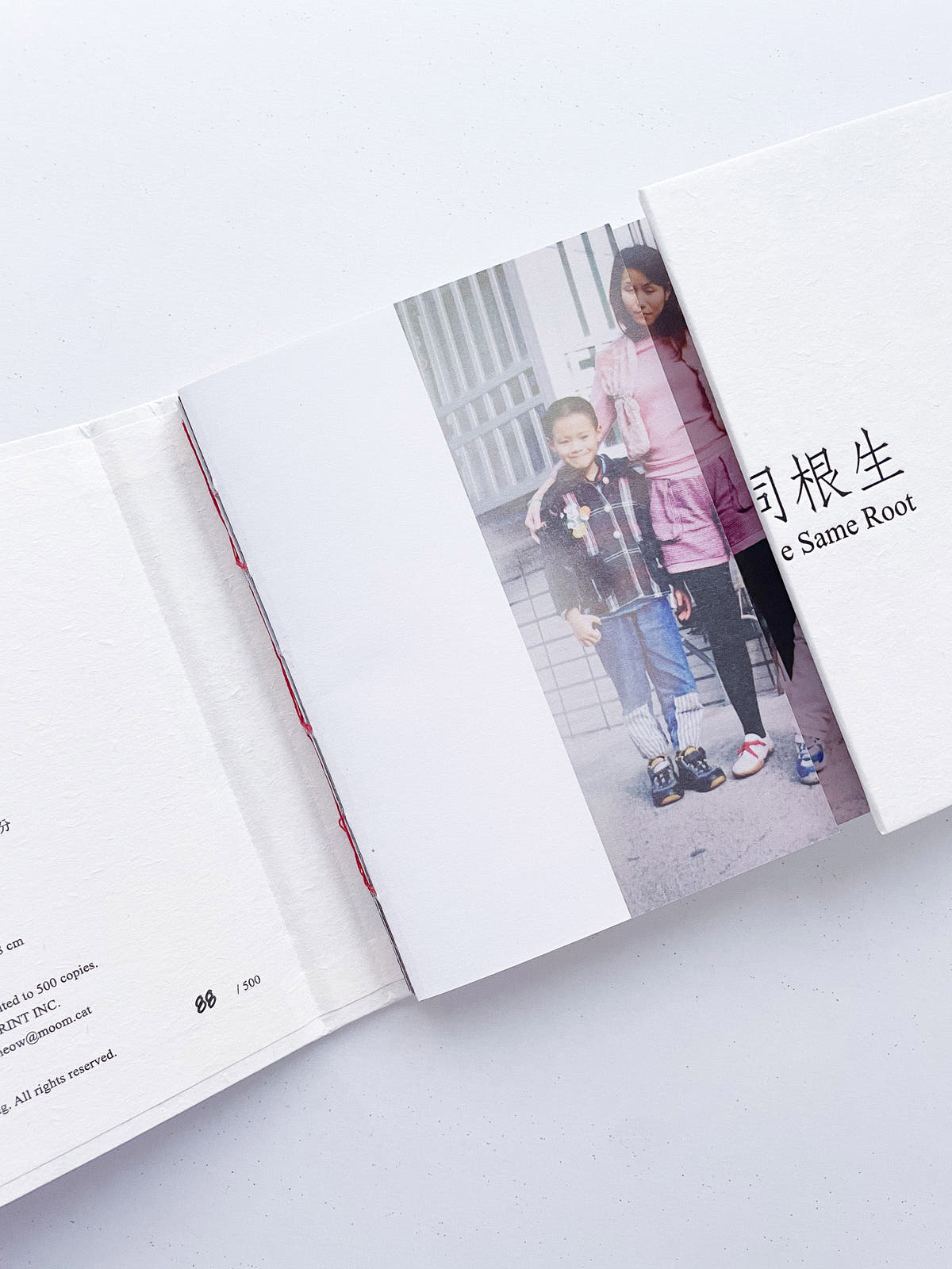 本是同根生 Born from the Same Root / 蔡定邦 Tsai Ting Bang [SIGNED]