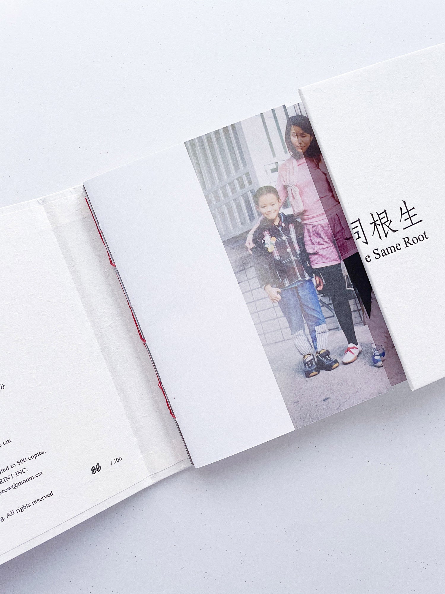 本是同根生 Born from the Same Root / 蔡定邦 Tsai Ting Bang [SIGNED]