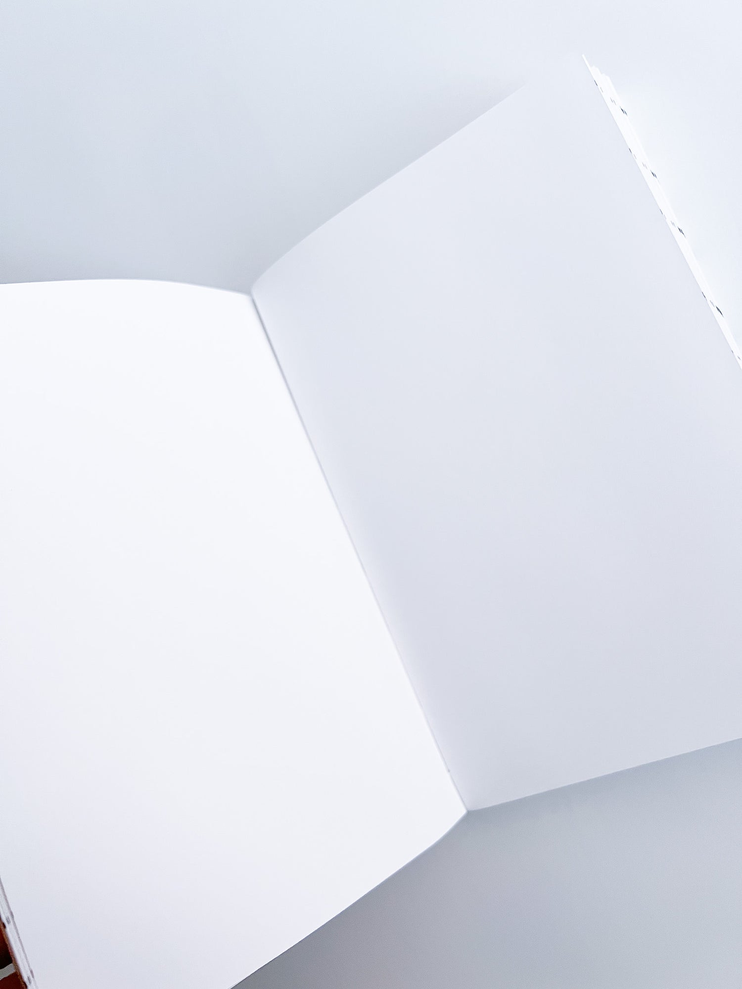 ideanote / tsukasa kudo x SHABA