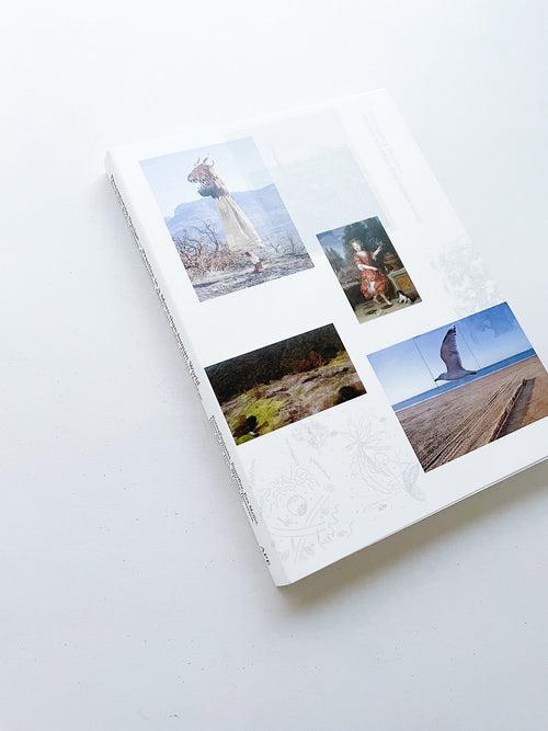 DECENTERING DESIGN — PRACTICE IN A MORE-THAN- HUMAN WORLD